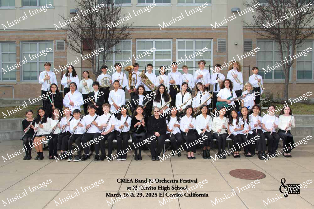 Musical Images